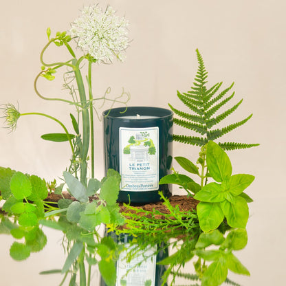 Bougie parfumée Le Petit Trianon 210g