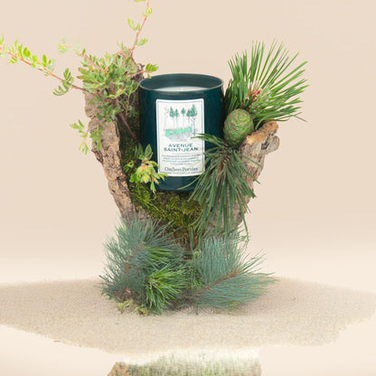 Bougie parfumée Avenue Saint-Jean 210g