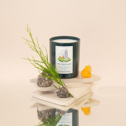 Bougie parfumée Pey-Berland 210g