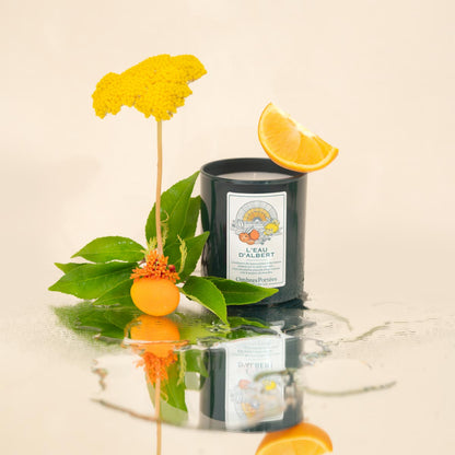 Bougie parfumée L'Eau d'Albert 210g