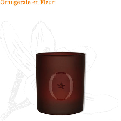 Orangeraie en Fleur