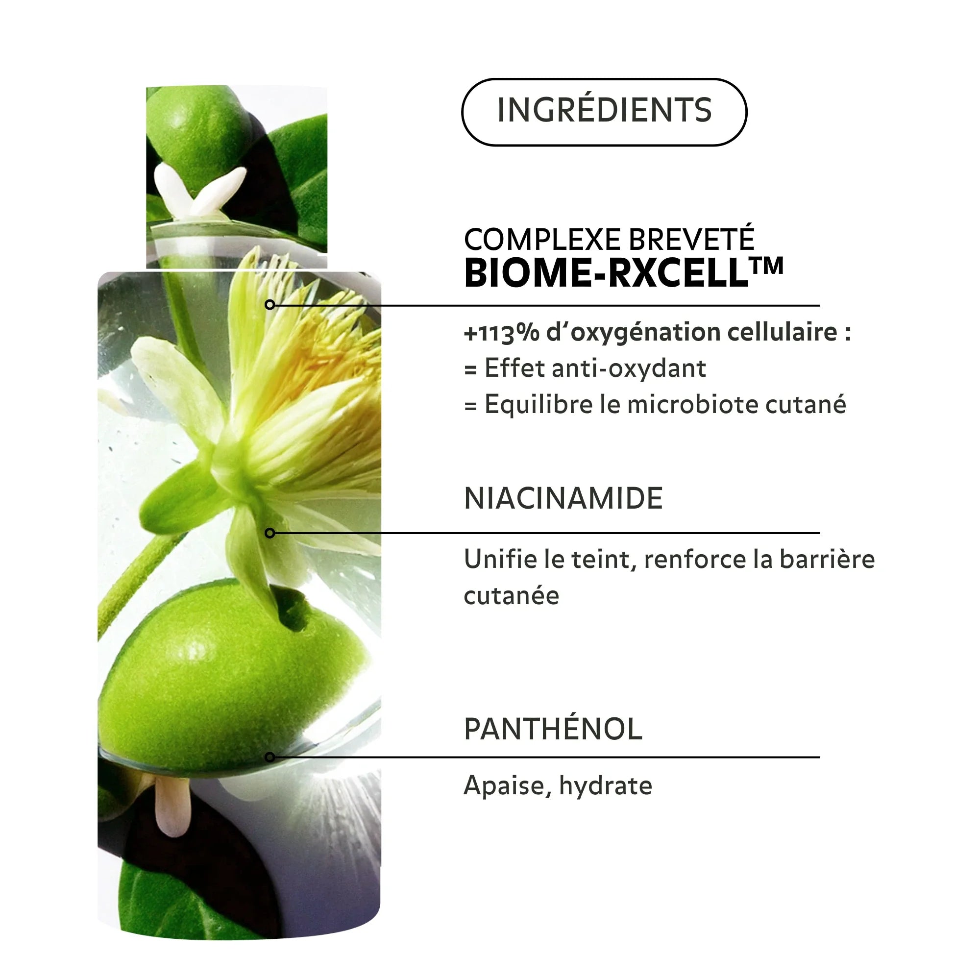 Essence Rééquilibrante