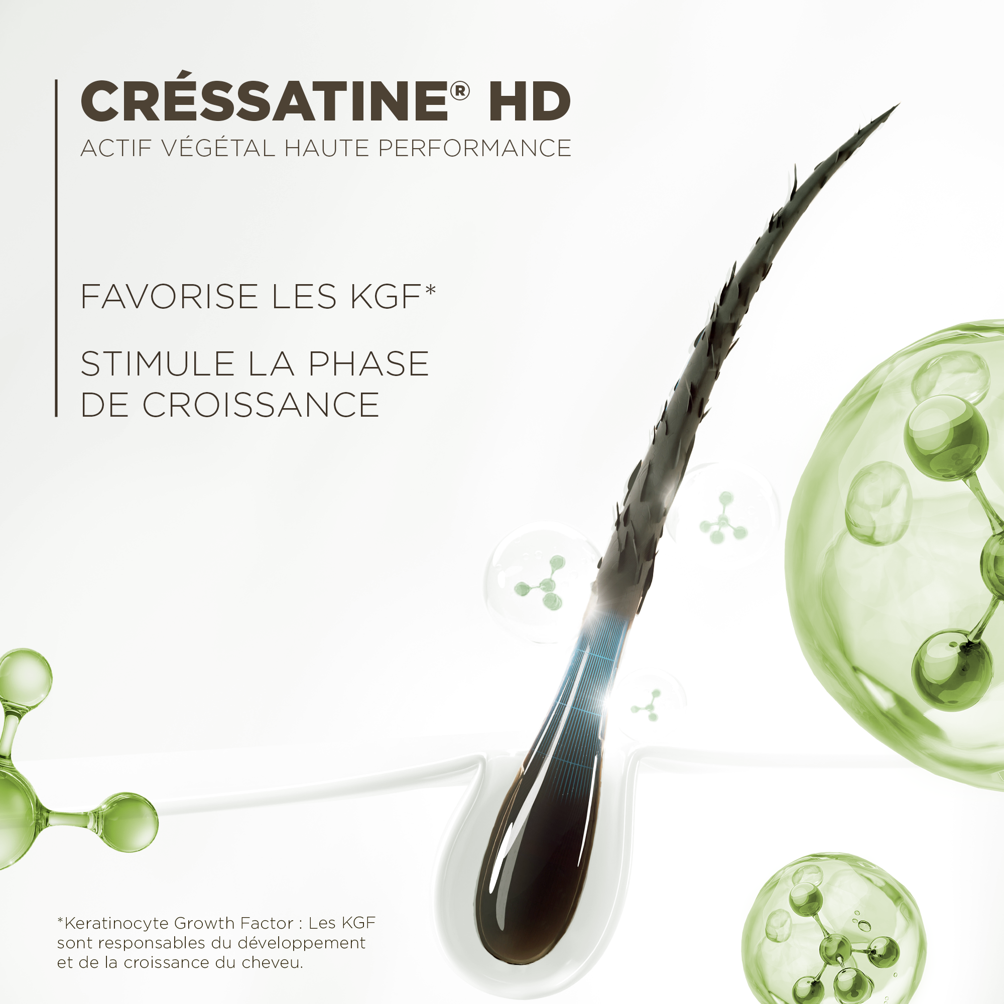 Le Booster Soin Cils Noir