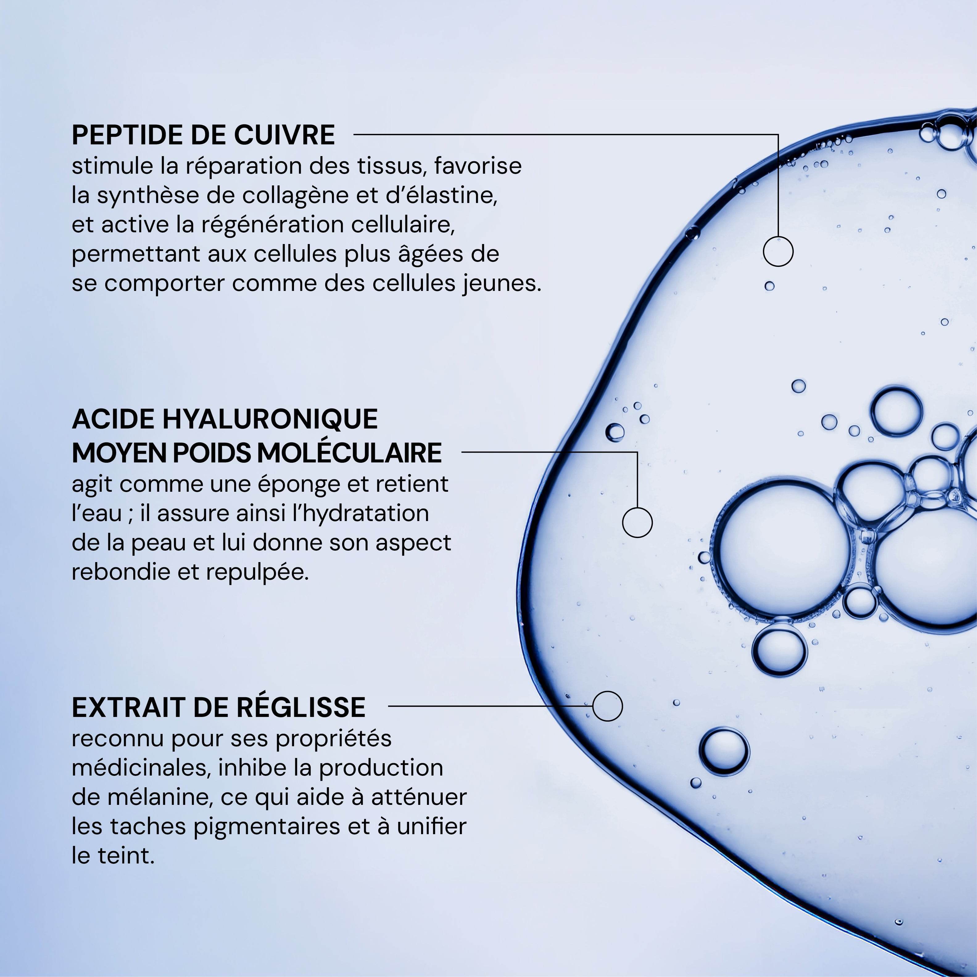 Sérum Concentré Longévité