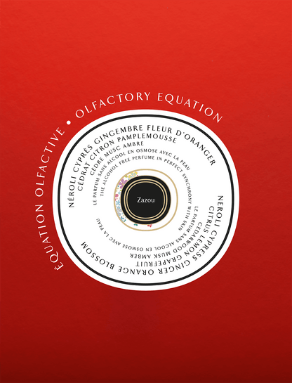 Zazou - La Rencontre Solide Liquide