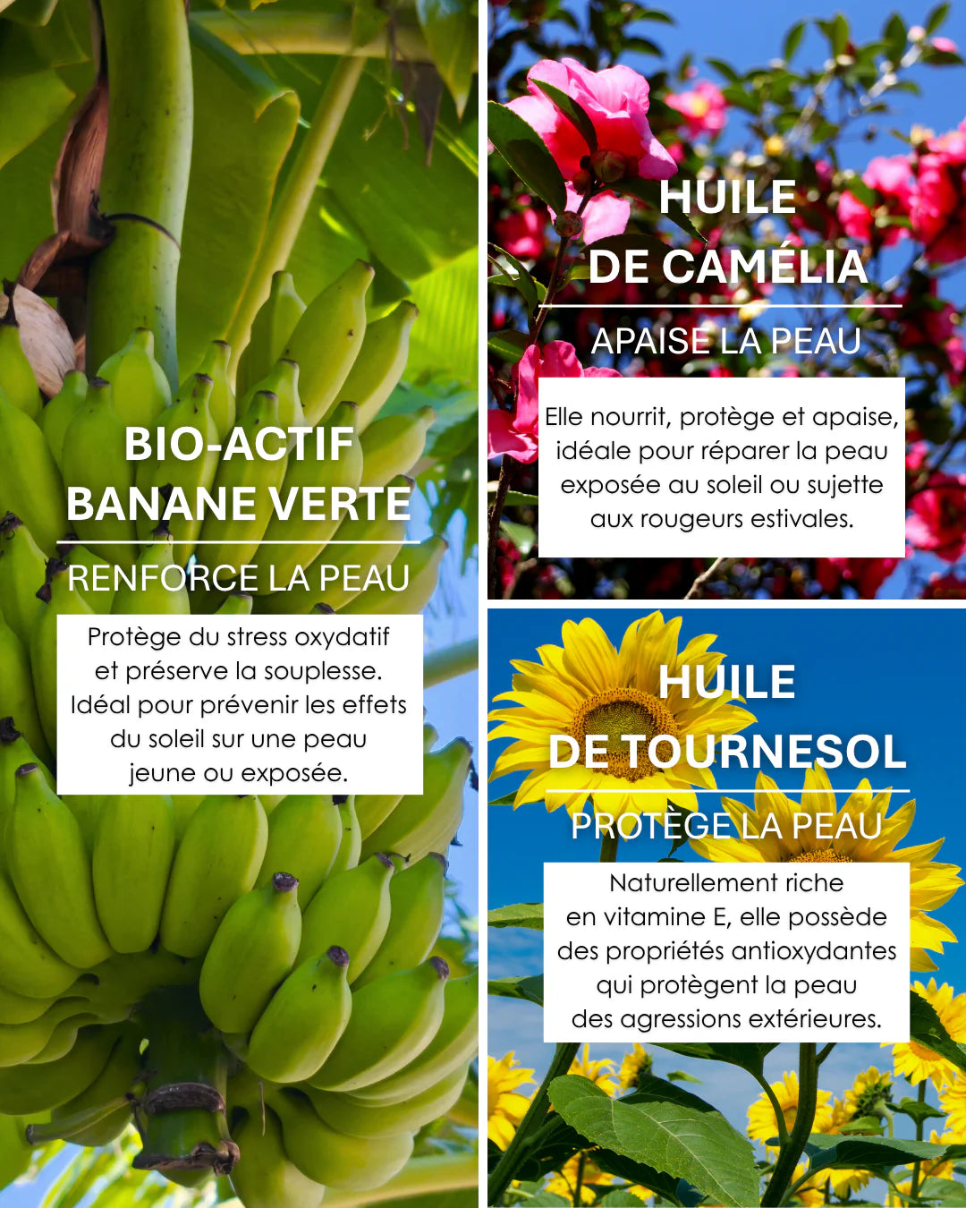 Huile Précieuse Nutritive - ANTI IMPERFECTIONS