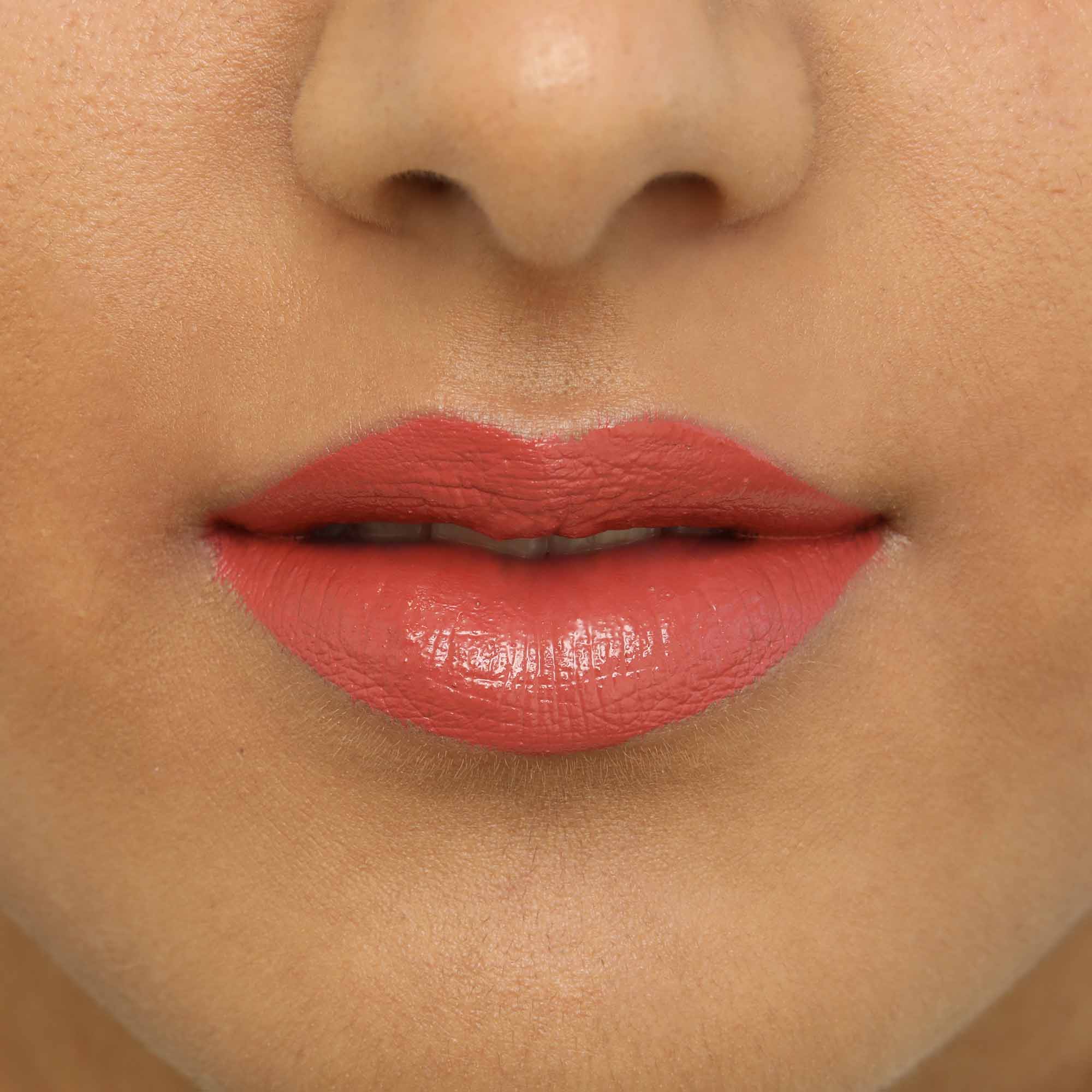 Rouge à lèvres mat | Bois de Rose 683