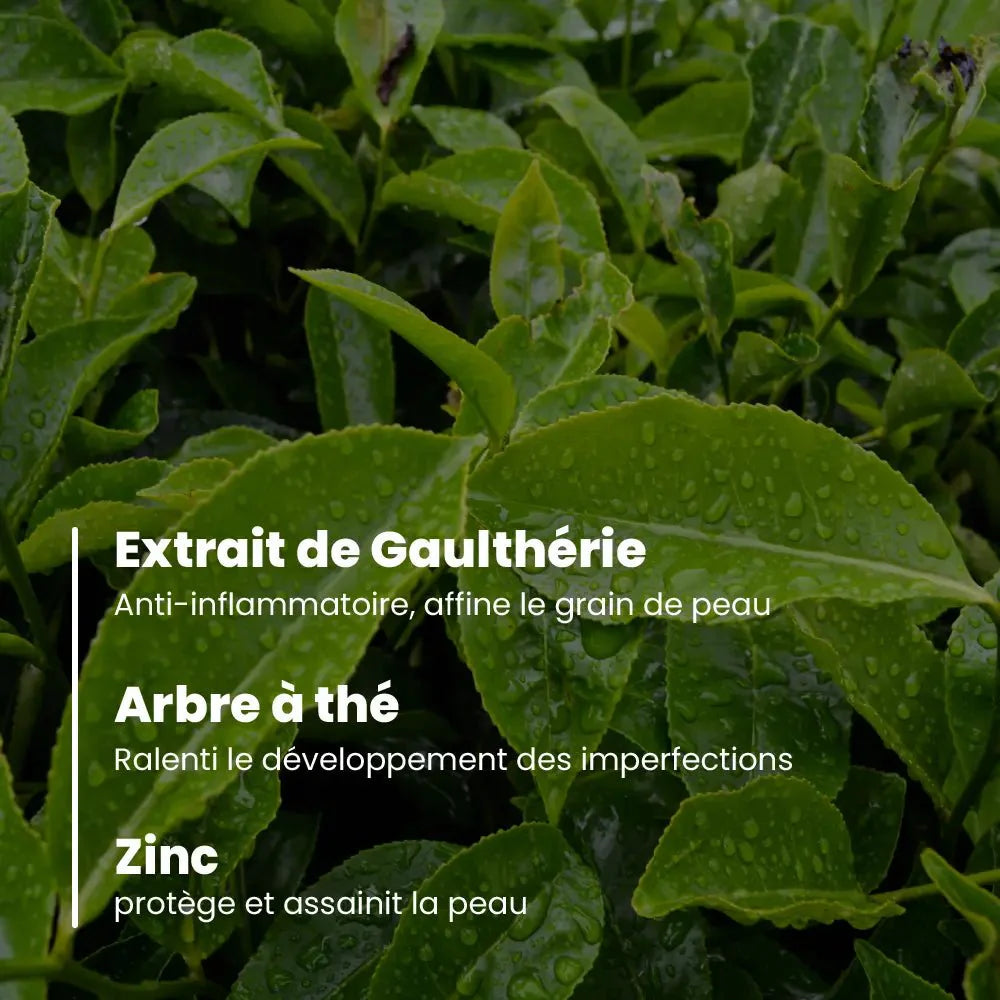 BB crème BIO Nude - peaux médiums