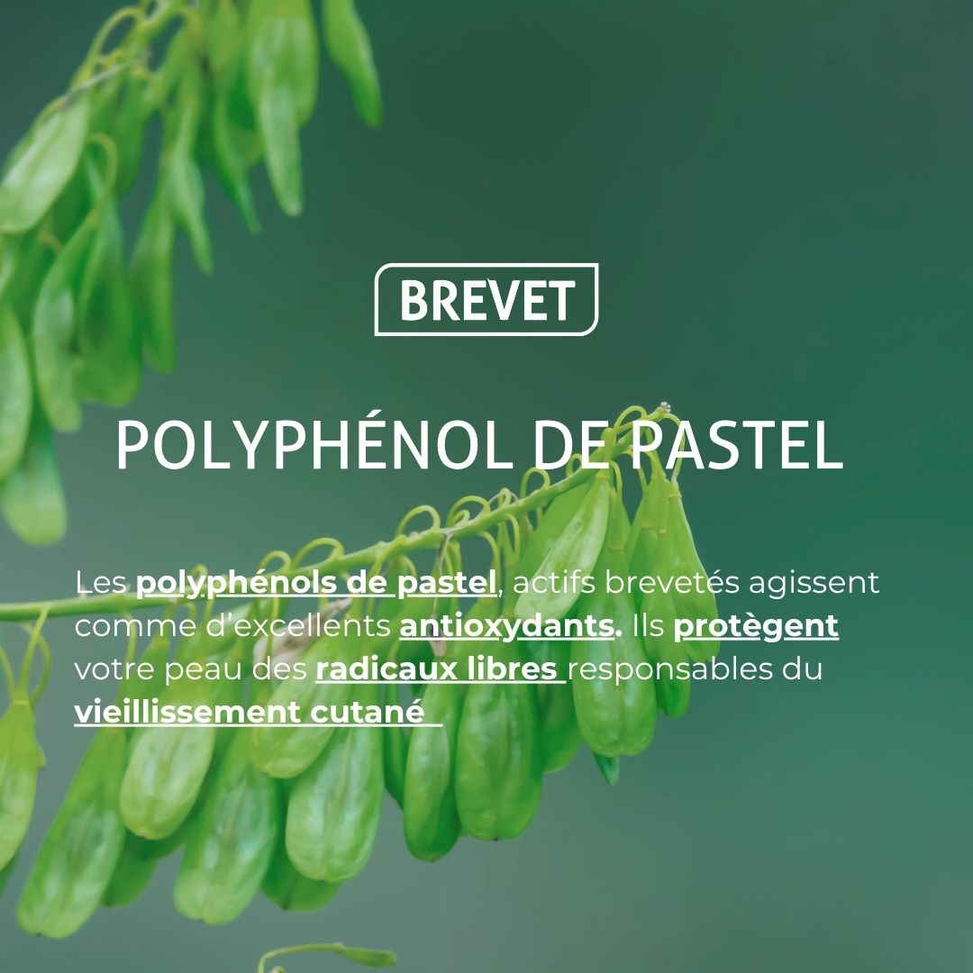 Baume repulpant antioxydant