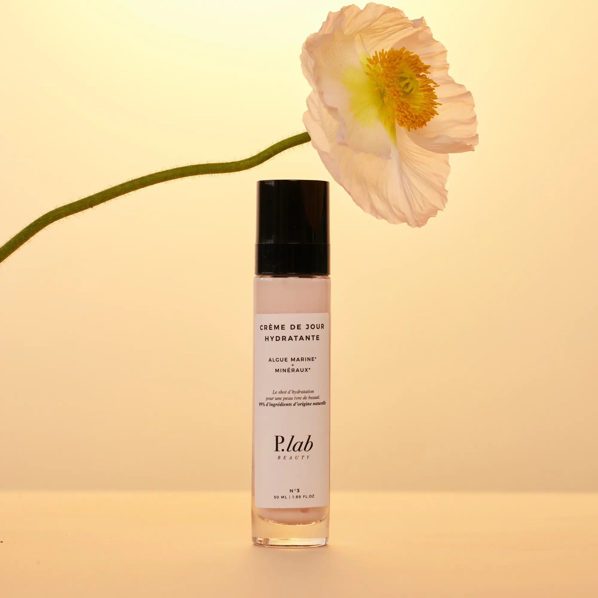 Crème de Jour Hydratante