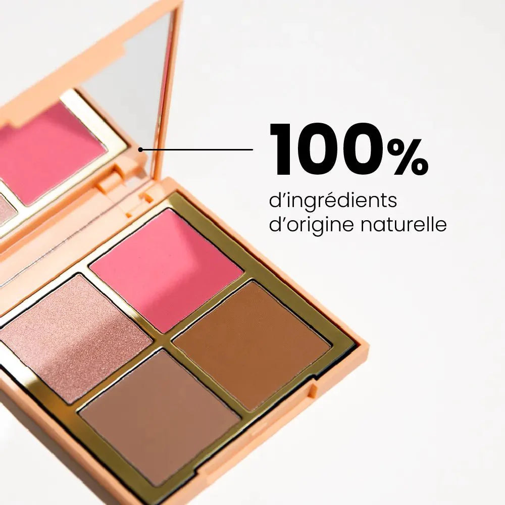 Duo la palette bonne mine + le pinceau