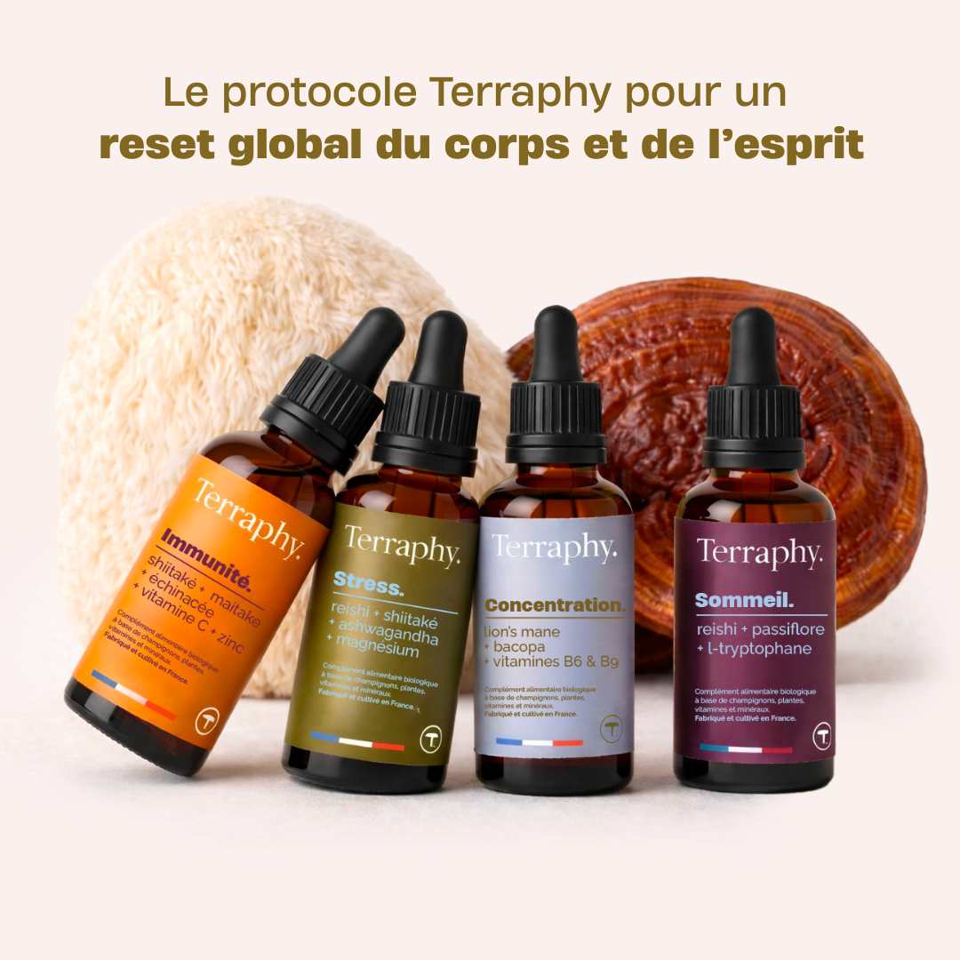 Pack Puissance Champignons. 4 fioles