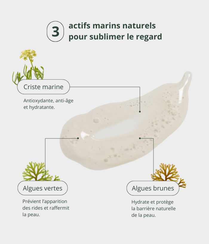 Contour des yeux à la criste marine