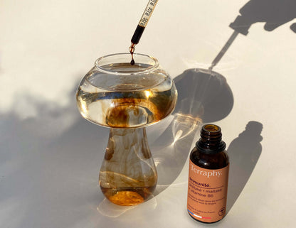 Pack Synergie – Terraphy x Rhodista