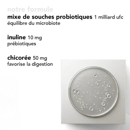 gummies digestion - digest & probiotics - prébiotiques + probiotiques