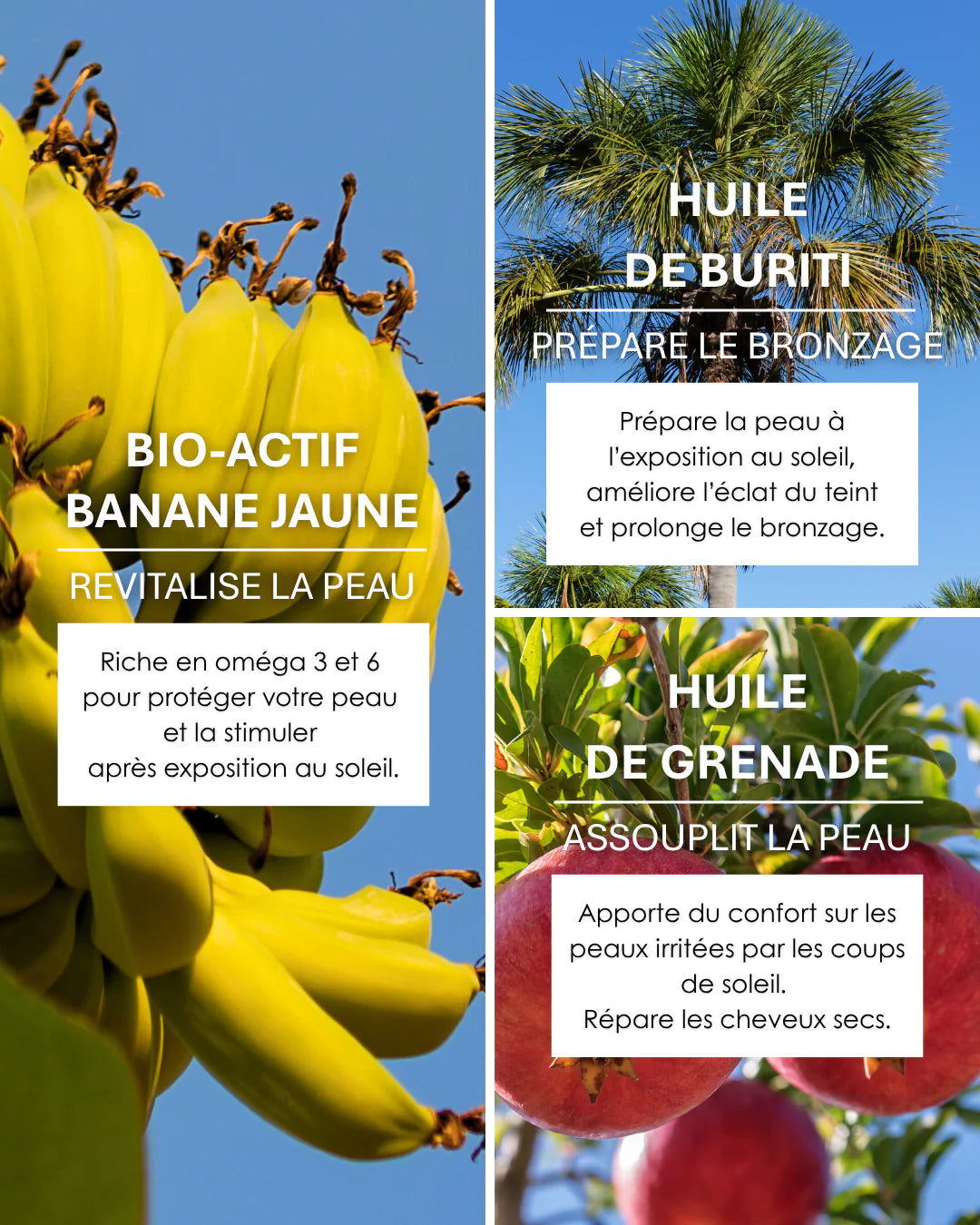 Huile Précieuse Radiance - RENFORCE & RÉGÉNÈRE