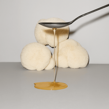 Extrait Lion’s Mane Bio