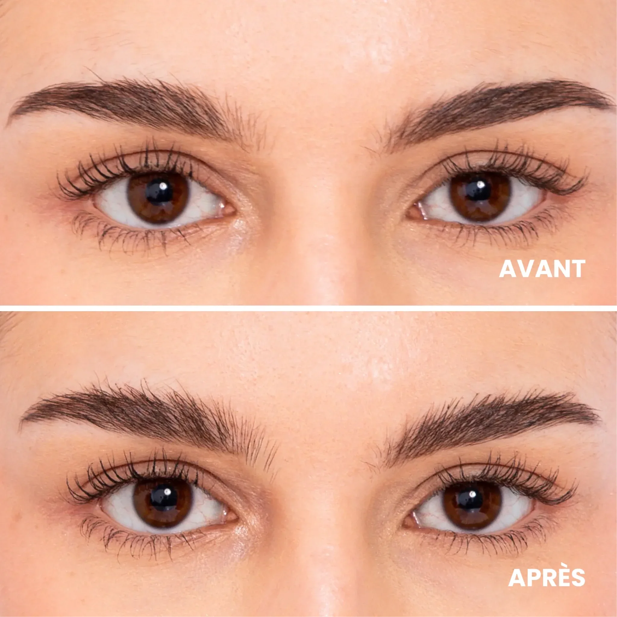 Gel - Mascara à sourcils teinté