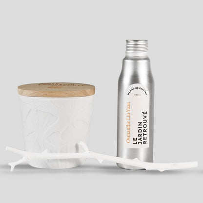 Osmanthe Liu Yuan Tige Parfumante