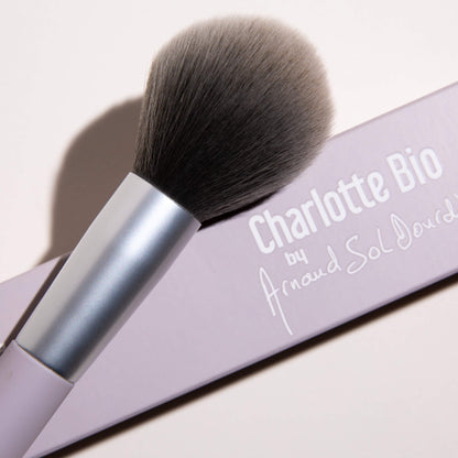 le pinceau filtre pastel